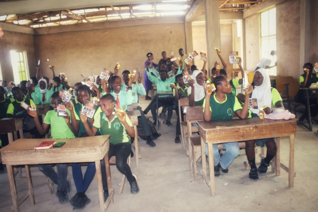 African Future Leaders Development Initiative Schools Outreach quick preview 2